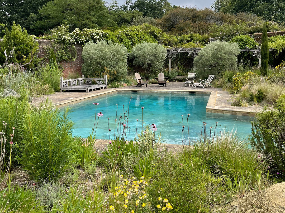 Knepp Rewilded Walled Garden