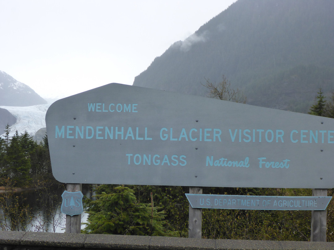 Mendenhall Glacier-朱诺必去景点