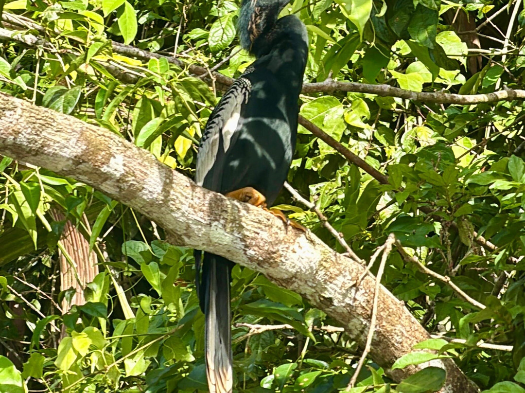 Costa Rica Roots Tours-托图杰多必去景点
