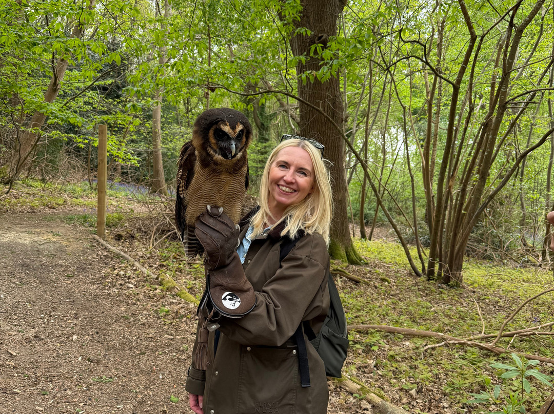 East Sussex Falconry-Herstmonceux必去景点