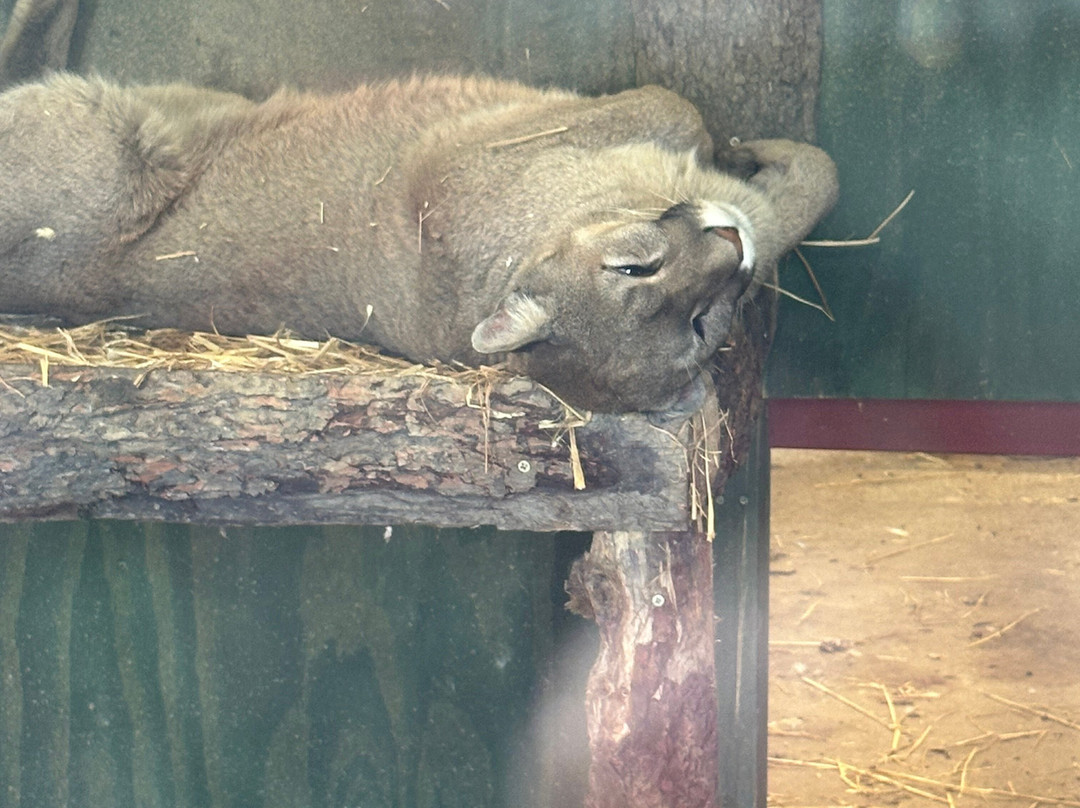 Ashlyns Wildlife Park-North Weald必去景点