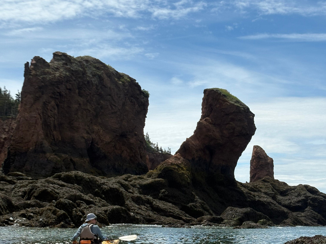 Novashores Adventures-Advocate Harbour必去景点