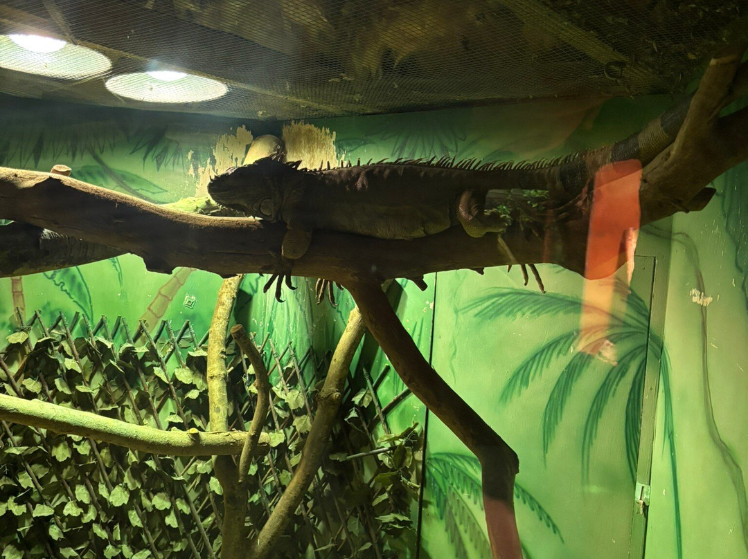 Pettitts Animal Adventure Park-Reedham必去景点