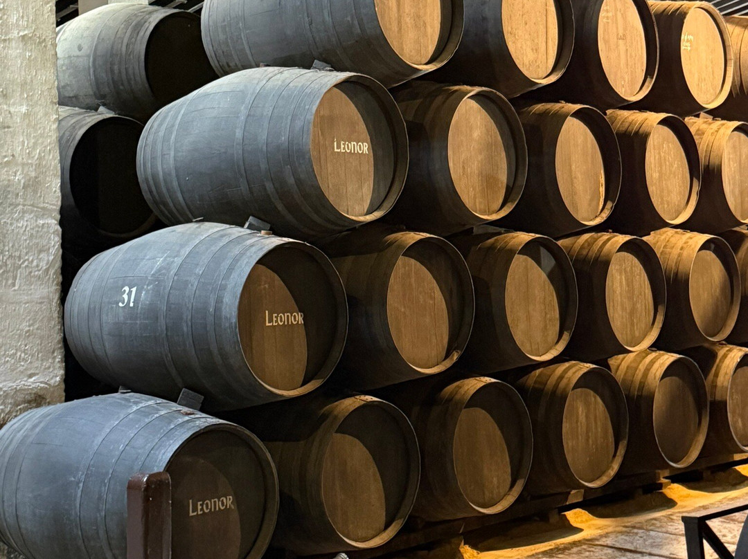 Bodegas Tio Pepe-赫雷斯德拉弗隆特拉必去景点