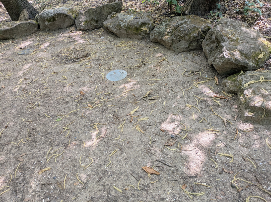 Lesnes Abbey-Belvedere必去景点