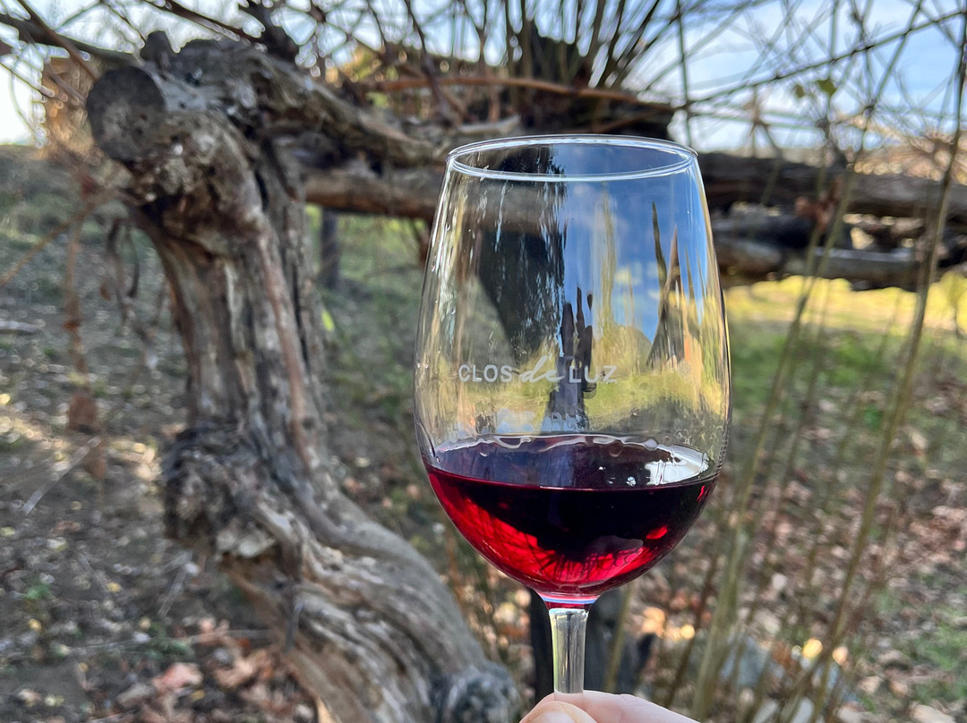 Clos de Luz-Pichidegua必去景点