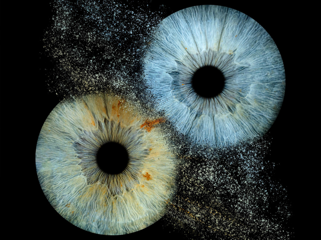 Iris Galerie Arnhem-阿纳姆必去景点