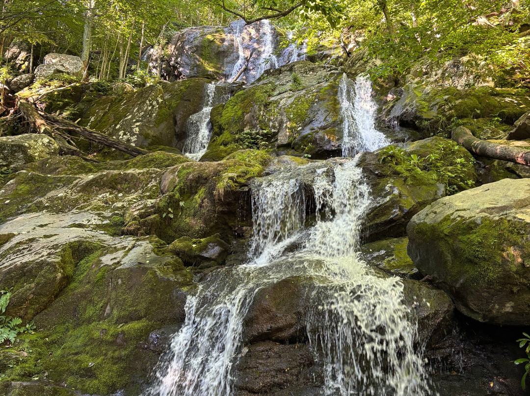 Dark Hollow Falls-雪兰多国家公园必去景点