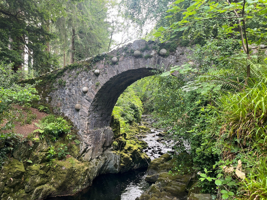 Tollymore Forest Park-纽卡斯尔必去景点