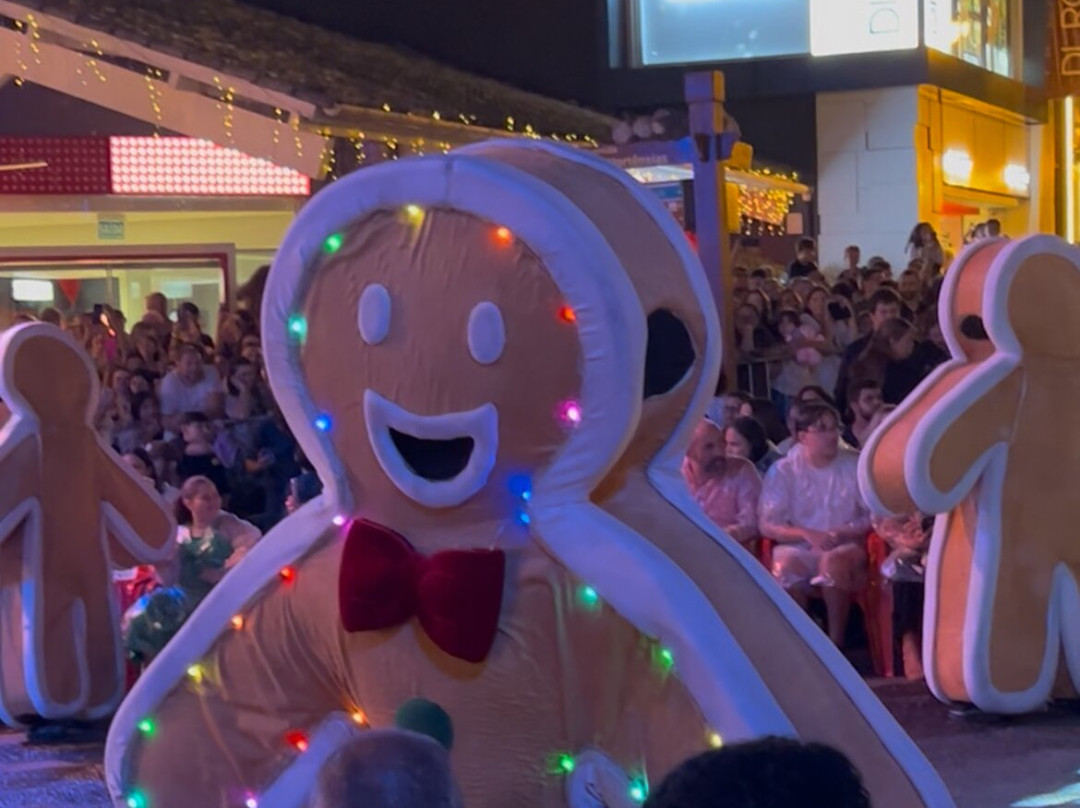 Espectaculos de Natal Luz-格拉玛多必去景点