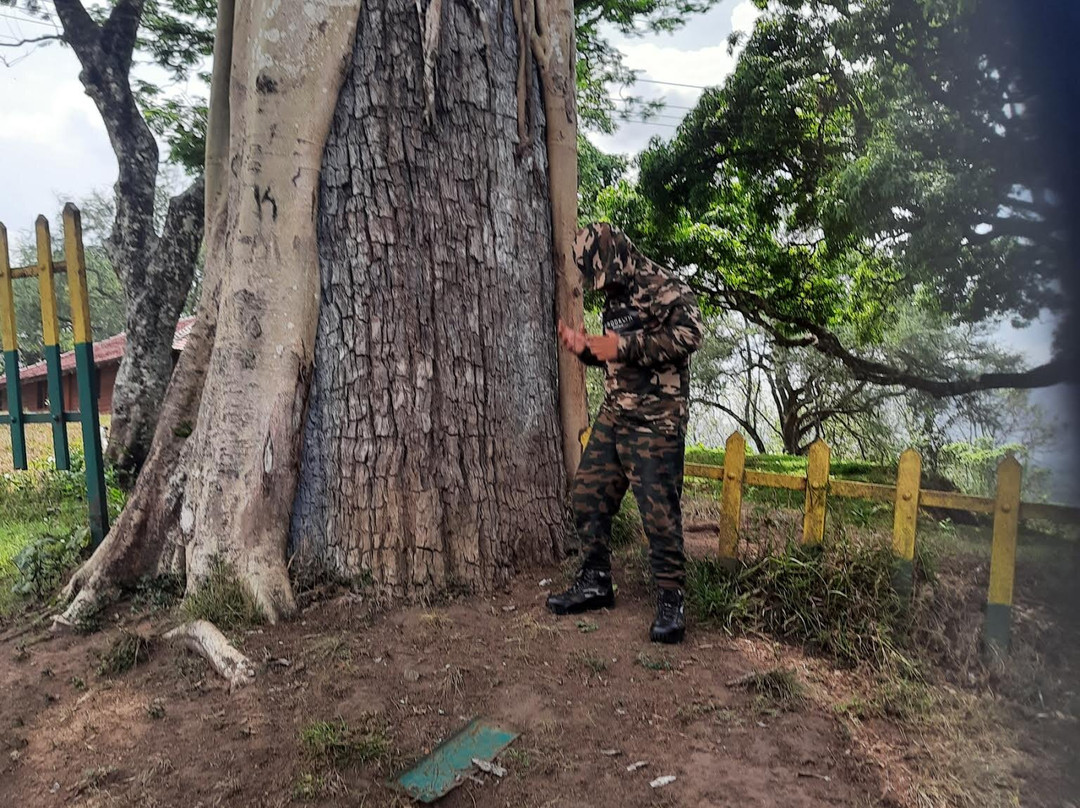 Topslip Tiger Forest-Pollachi Town必去景点