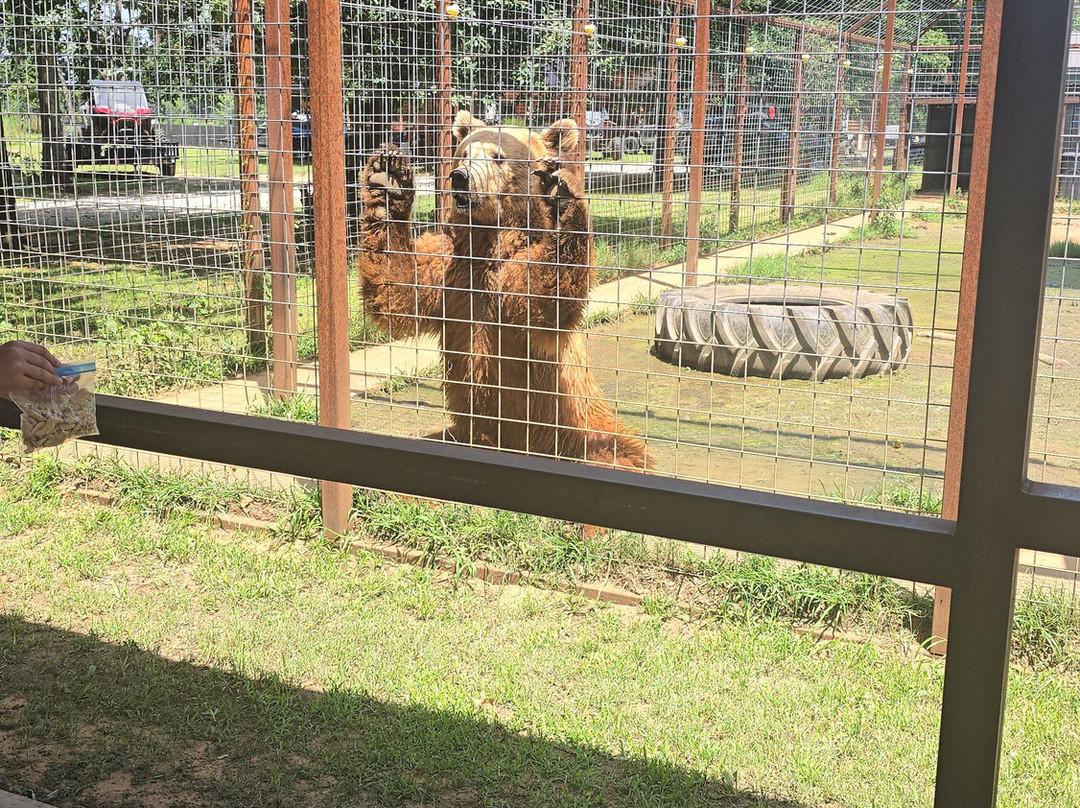 Safari Zoological Park-Caney必去景点