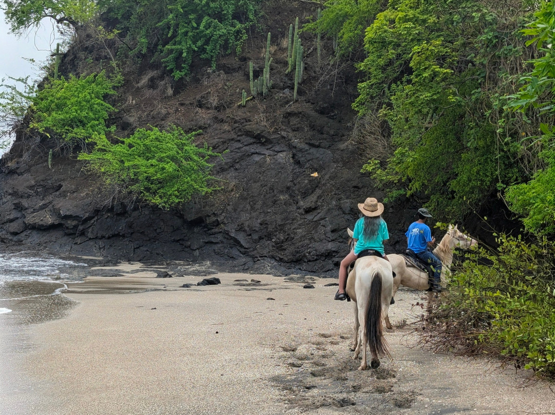 The Monkey Farm-Playa Ocotal必去景点
