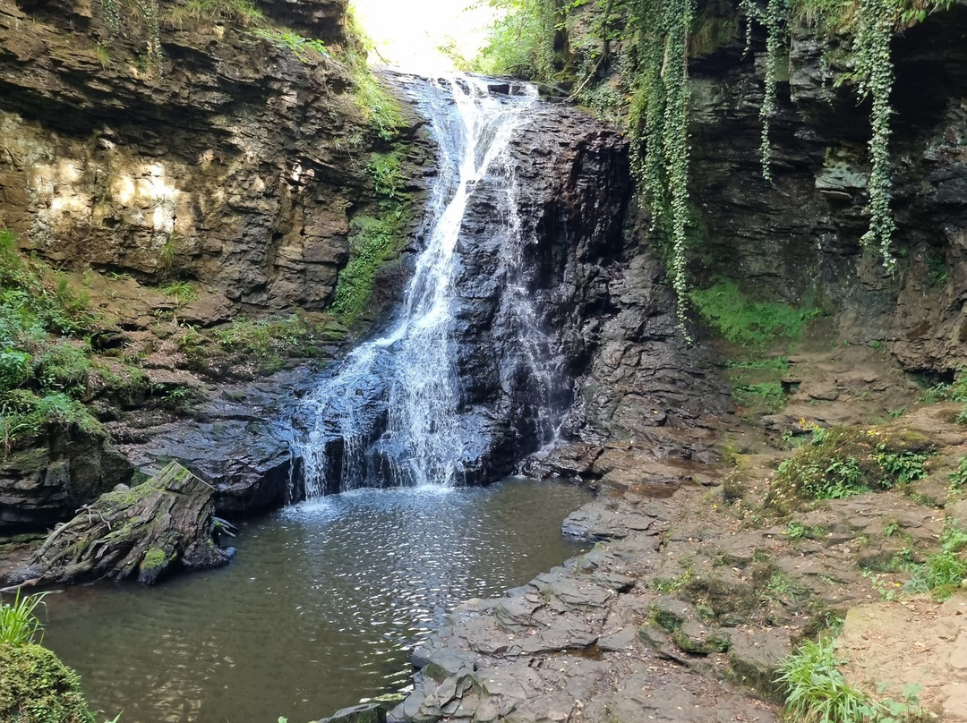 Hareshaw Linn Walk-Bellingham必去景点