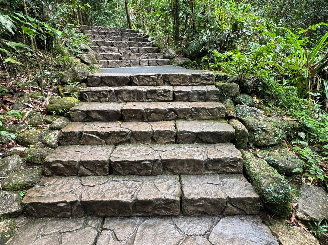 Mossman Gorge Cultural Centre-丹特里区必去景点