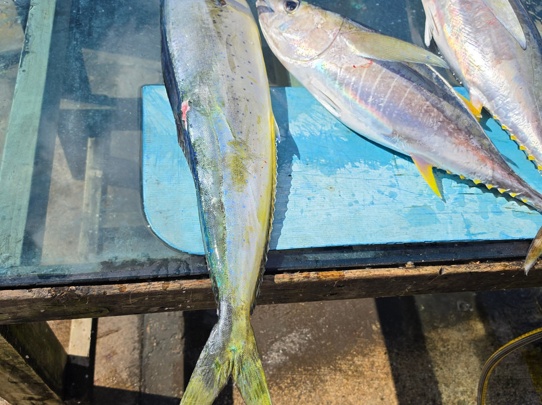 Raro fishing Charters-Avatiu必去景点