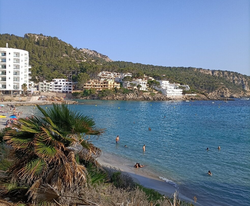 Platja De Sant Elm-Andratx必去景点