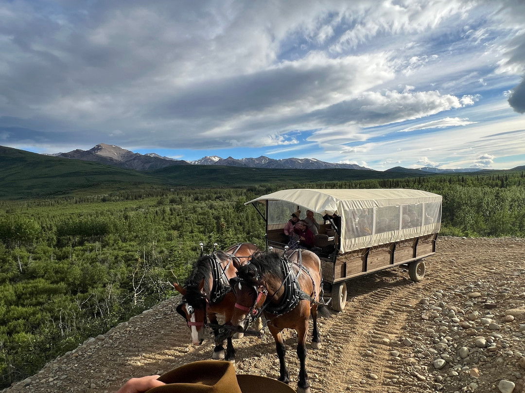 Denali Black Diamond Covered Wagon-Denali Park必去景点