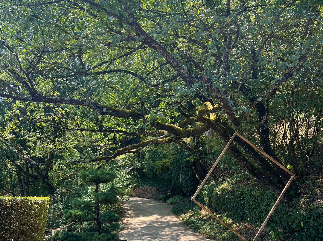 Les Jardins De L'Imaginaire-Terrasson-Lavilledieu必去景点