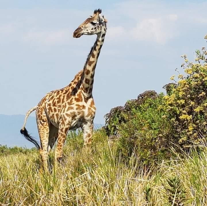 Zufan Eco Tours-Berlicum必去景点