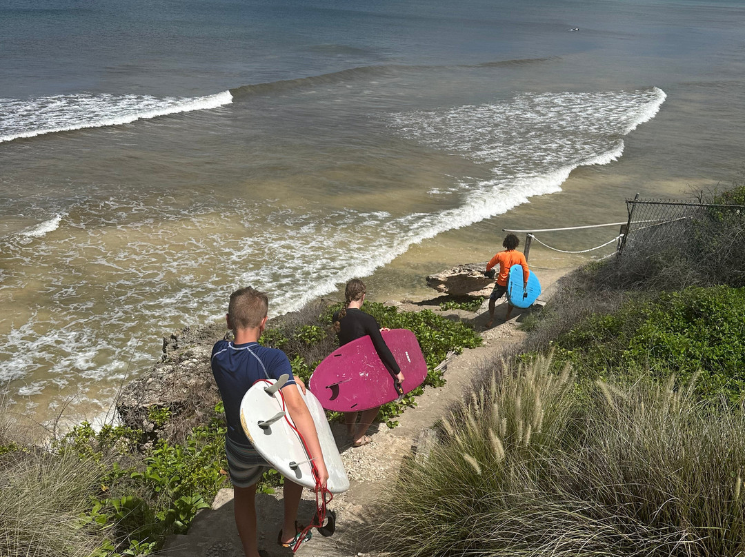 Bodie's School of Surf-奥伊斯廷斯必去景点