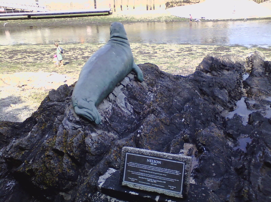 Nelson the seal statue