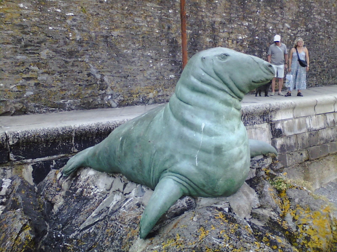 Nelson the seal statue-卢城必去景点