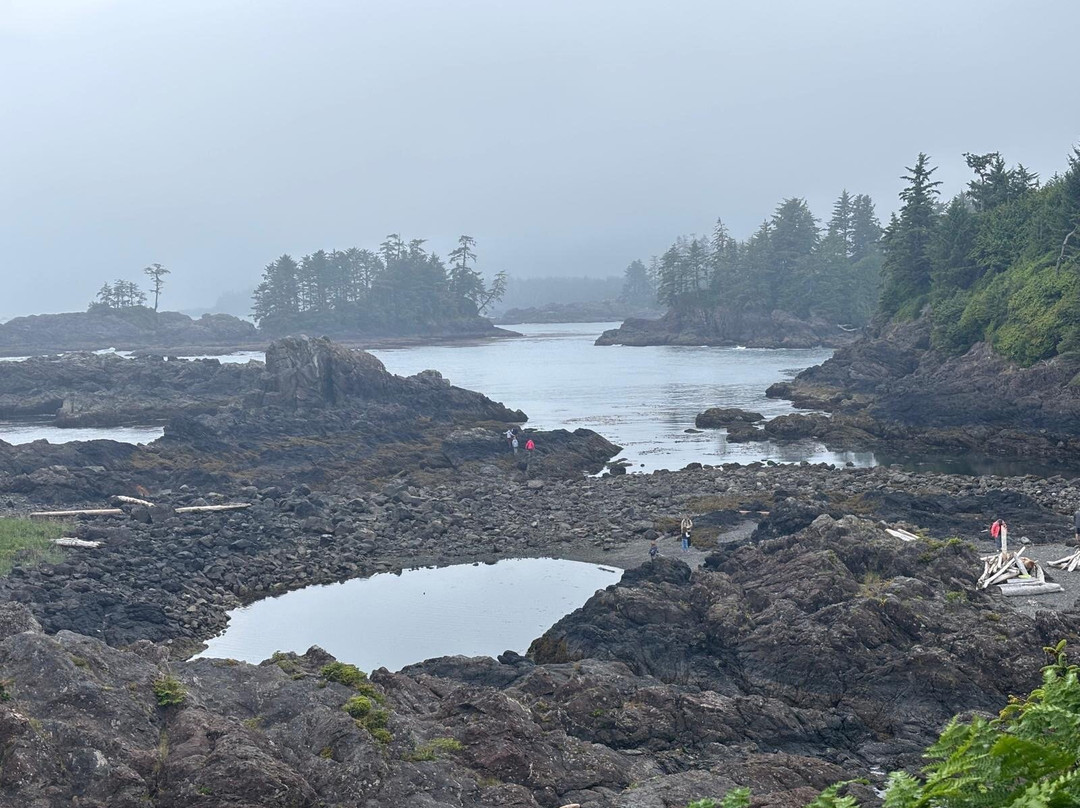 Amphitrite Point Lighthouse-尤克卢利特必去景点