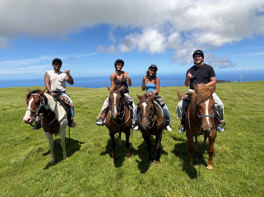 Na'alapa Stables - Kahua Ranch-卡慕也拉必去景点