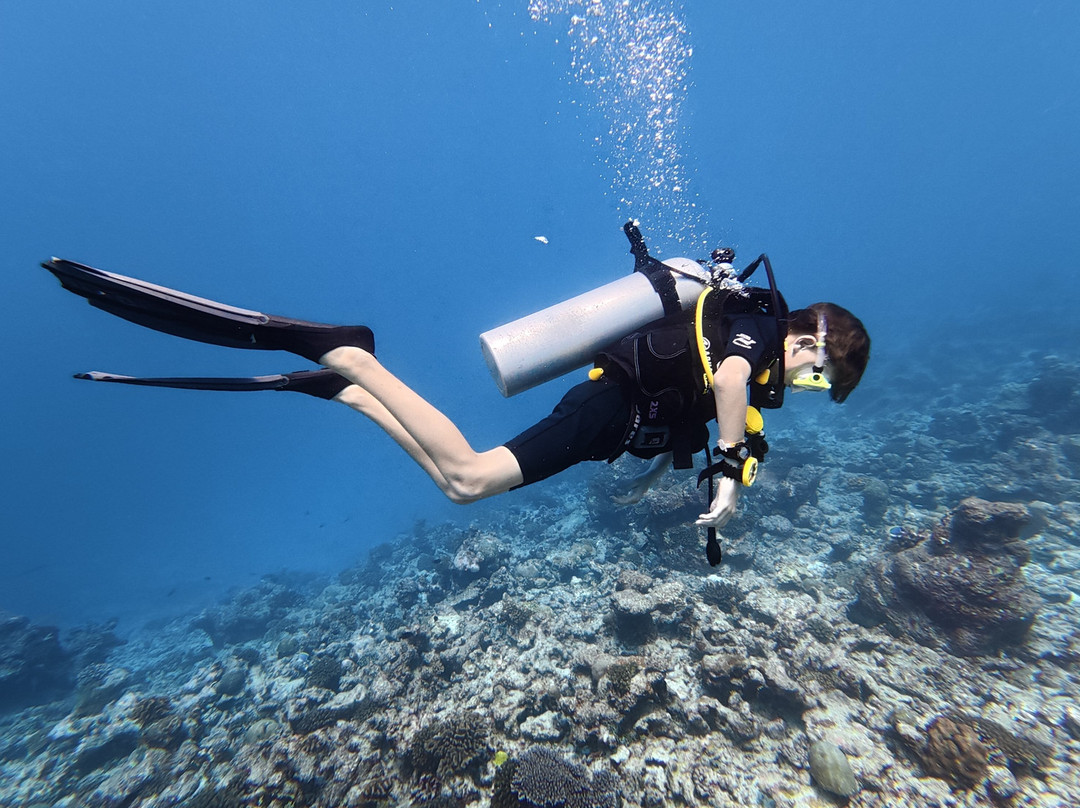 Euro-Divers Club Med Kani-卡尼翡诺岛必去景点