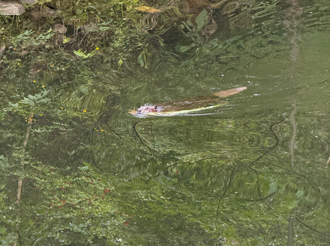 Shubenacadie Canal Waterway-达特茅斯必去景点