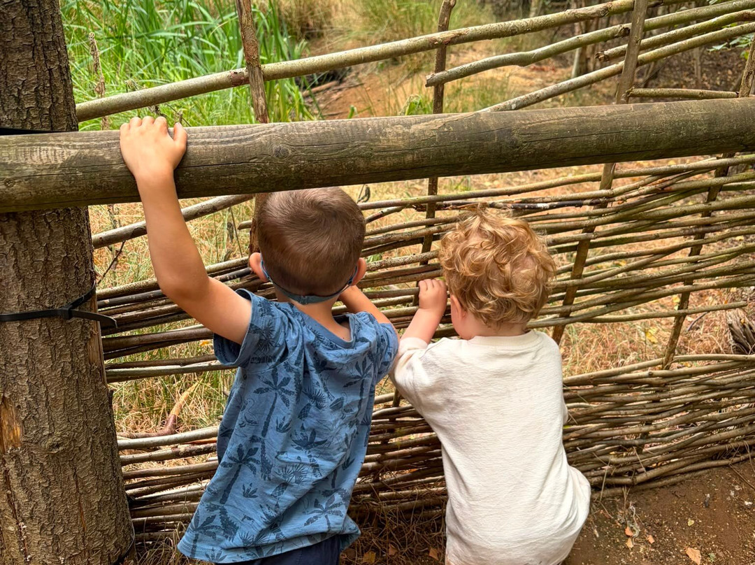 RSPB The Lodge Nature Reserve-Sandy必去景点