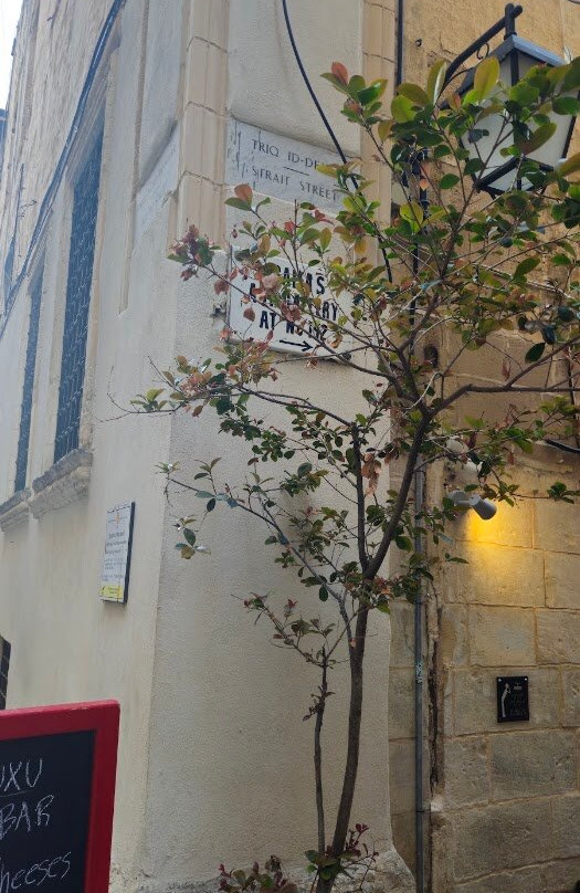 Trabuxu Wine Bar-瓦莱塔必去景点