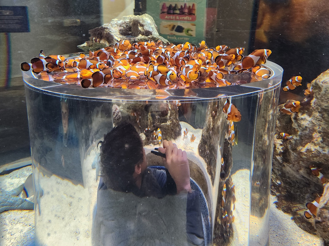 Two Oceans Aquarium-开普敦中心区必去景点