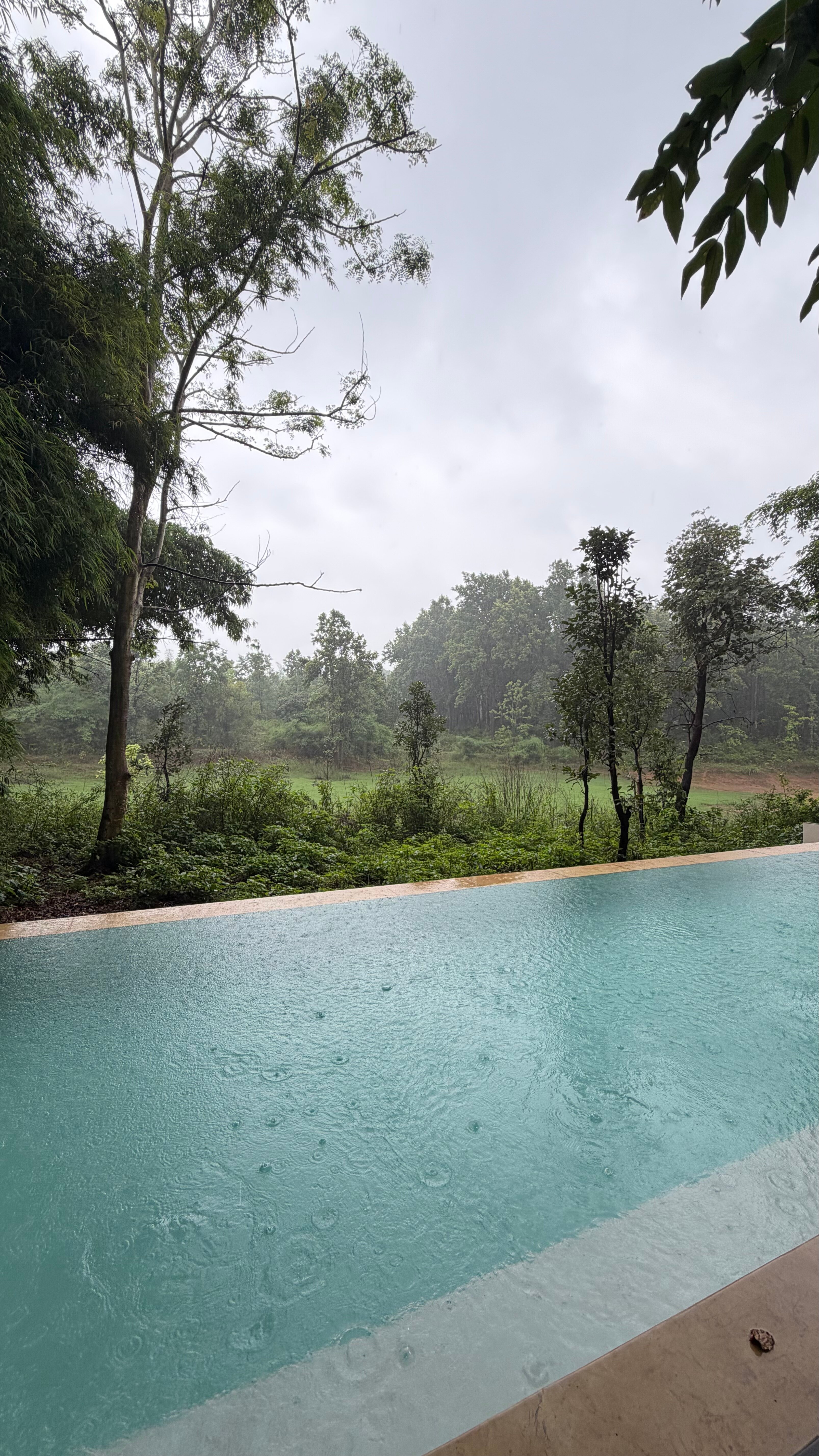Banjaar Tola - A Taj Safari - Kanha National Park-旅行者