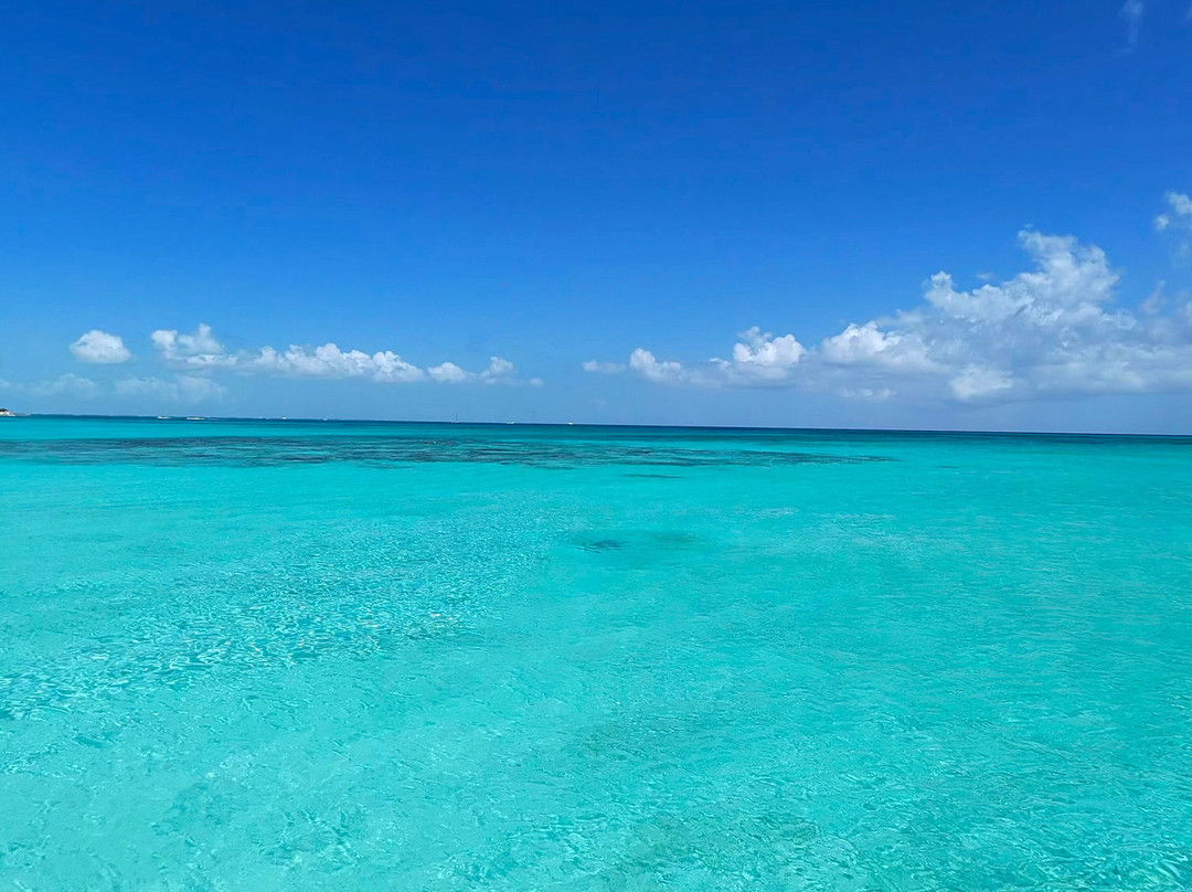 Okeanos Charters-格雷斯湾必去景点