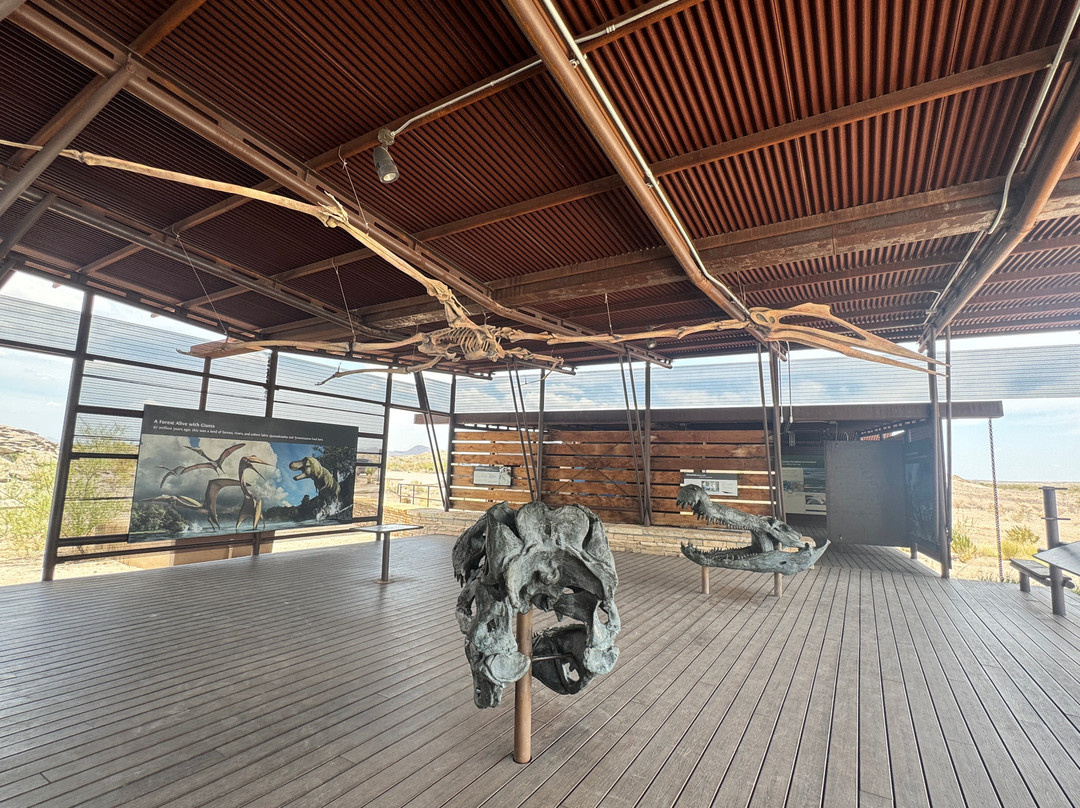 Big Bend National Park - Fossil Bone Exhibit-大弯国家公园必去景点
