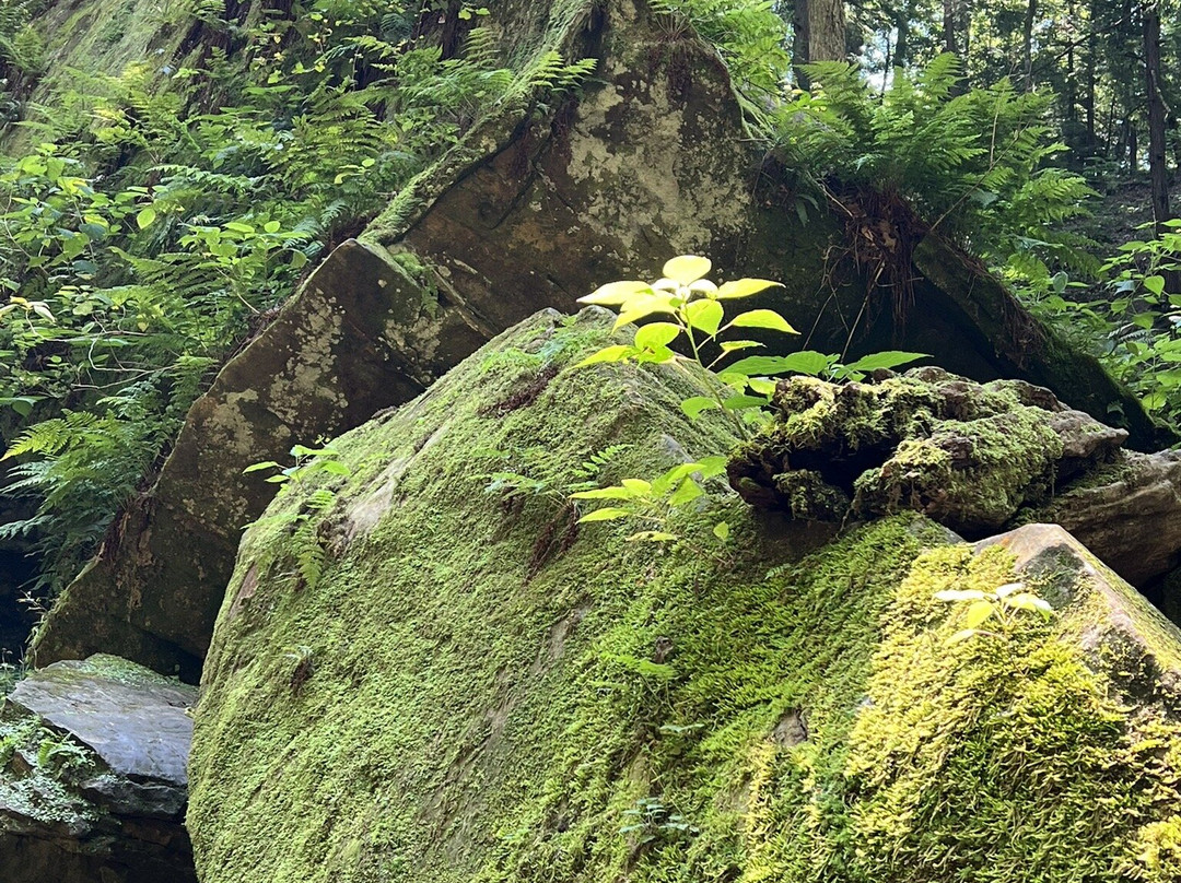 Turkey Run State Park-Marshall必去景点