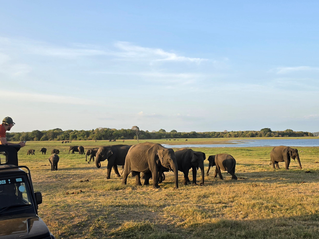 Jeep Safari With Gayan-锡吉里亚必去景点