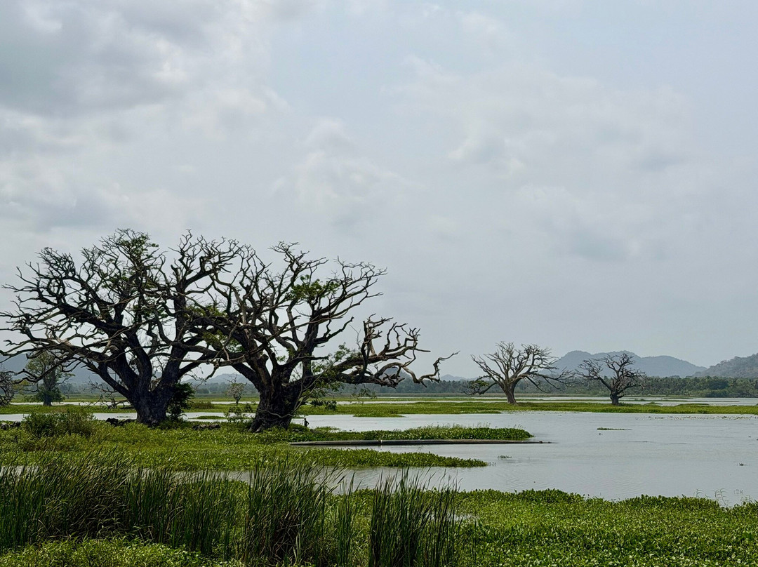 See Sri Lanka Tours-康提必去景点