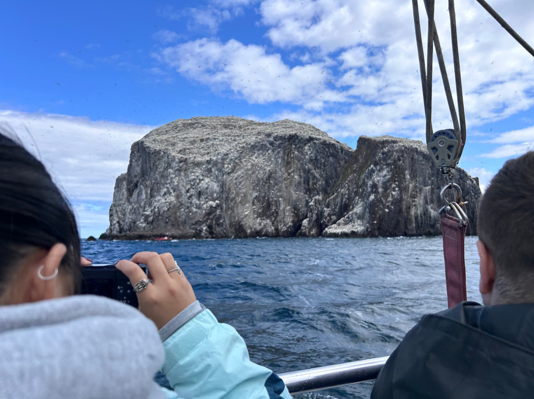 Scottish Seabird Centre-北柏威克必去景点