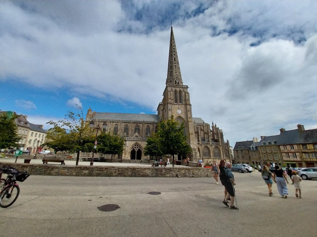 Cathedrale Saint-Tugdual-特雷吉耶必去景点