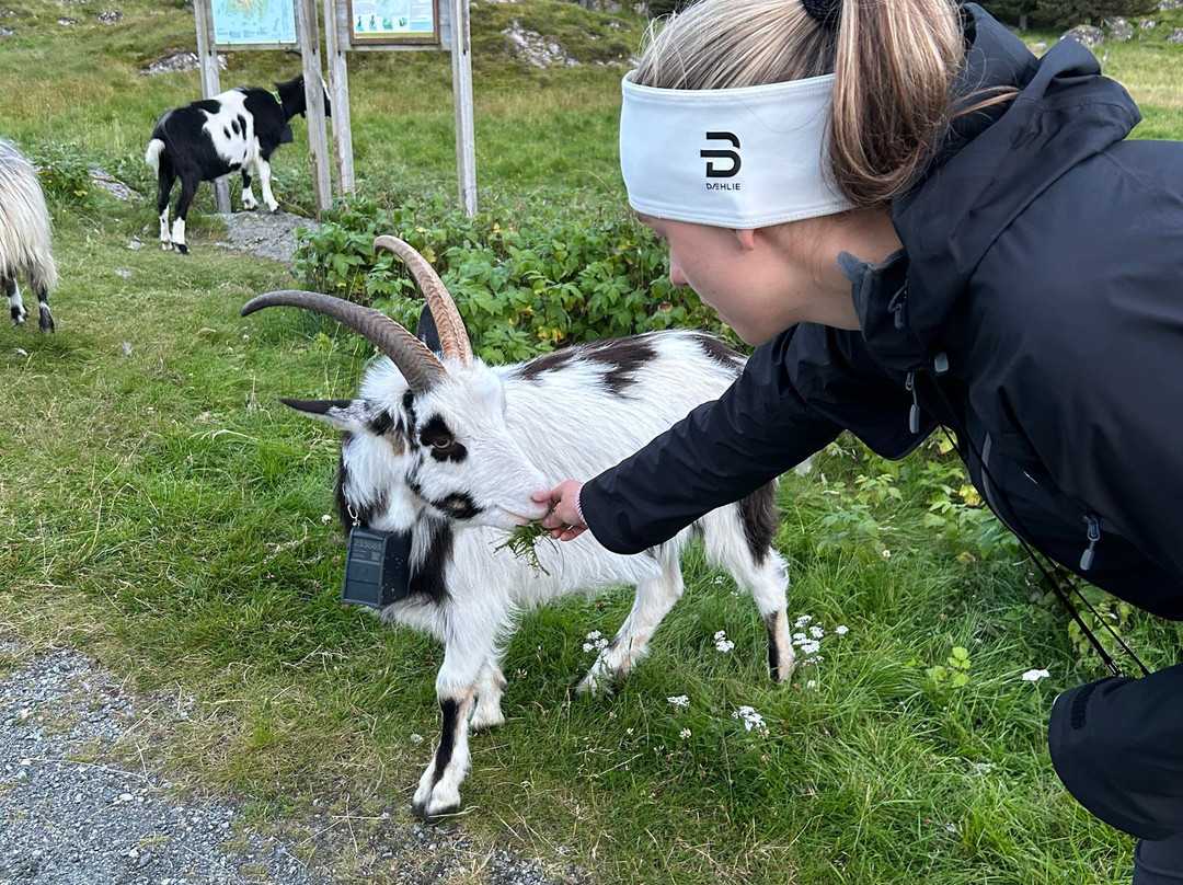 Lovund Hotell主图