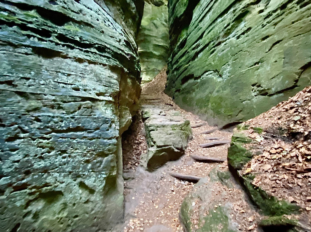 Gorges Du Loup-埃希特纳赫必去景点