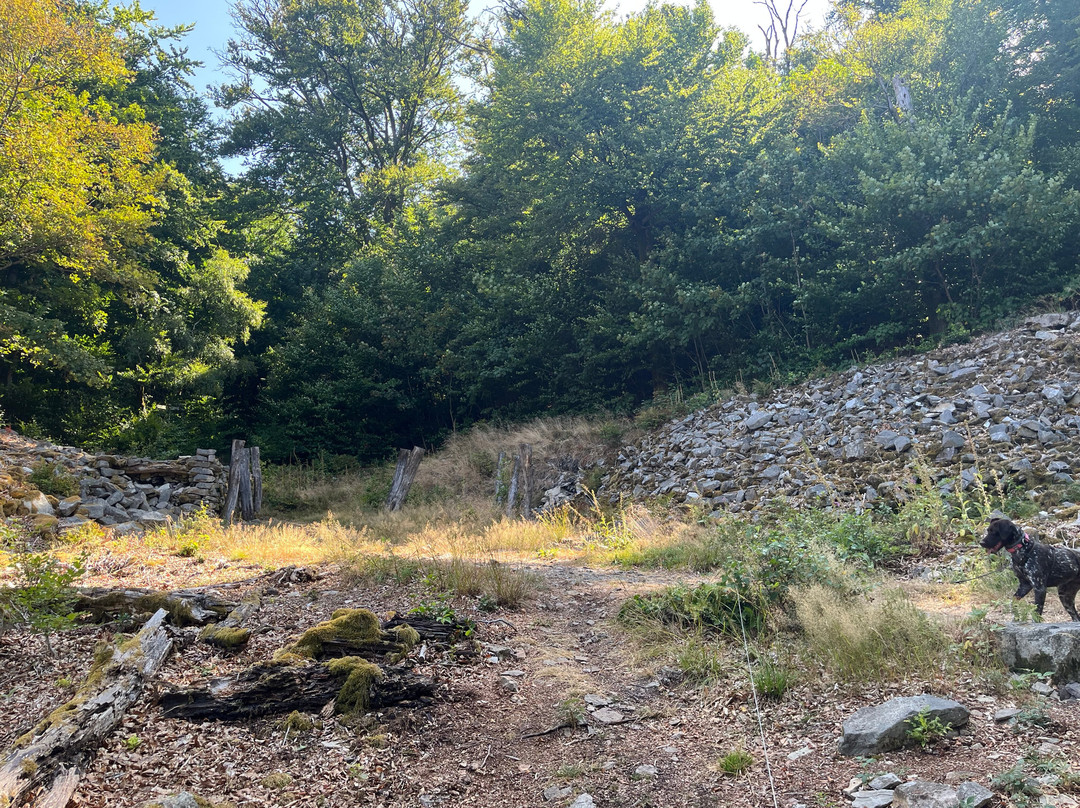 Hunnenring der keltische Ringwall-Nonnweiler必去景点