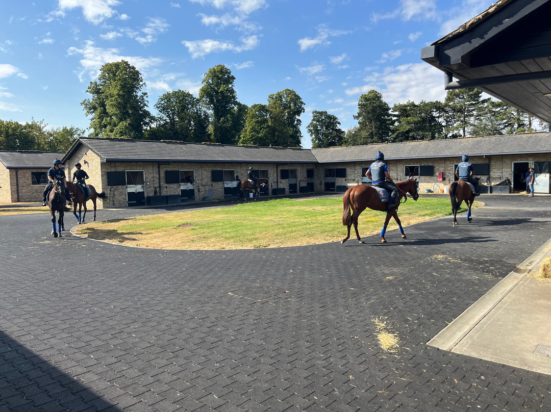 Discover Newmarket Tours-纽马克特必去景点