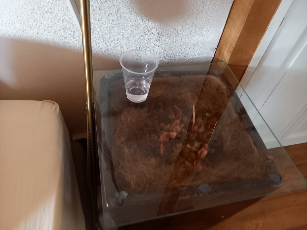 梅尔洛度假酒店主图