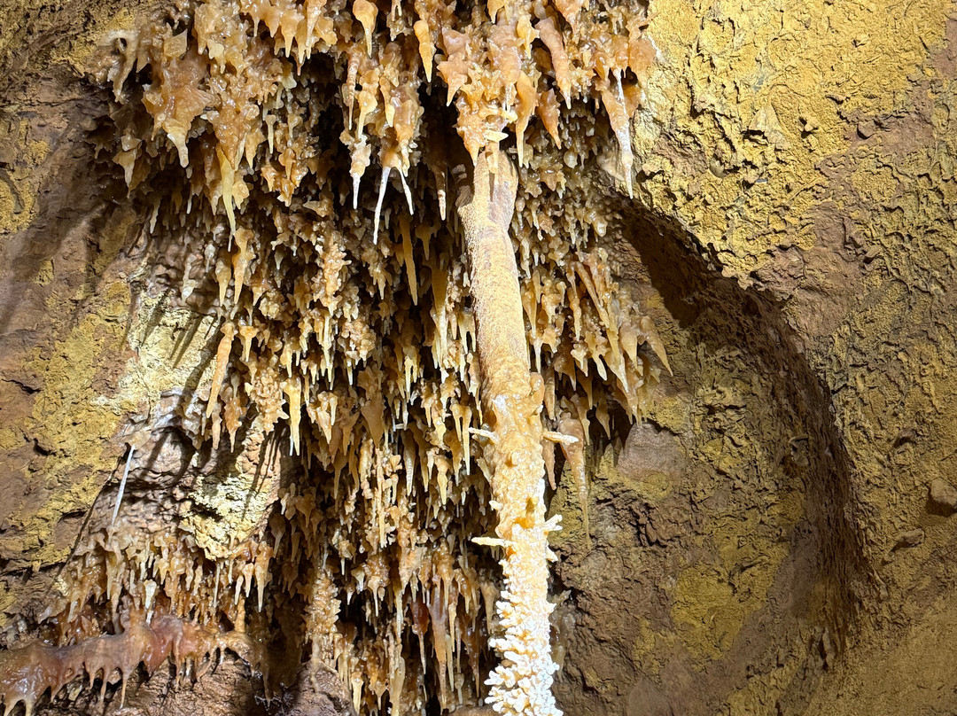 La grotte de Maxange-Le Buisson-de-Cadouin必去景点