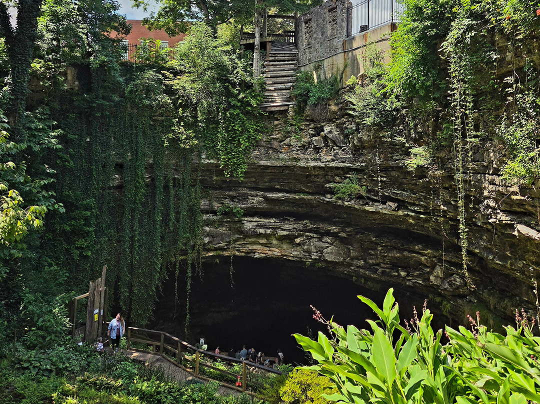 Hidden River Cave and American Cave Museum-Horse Cave必去景点
