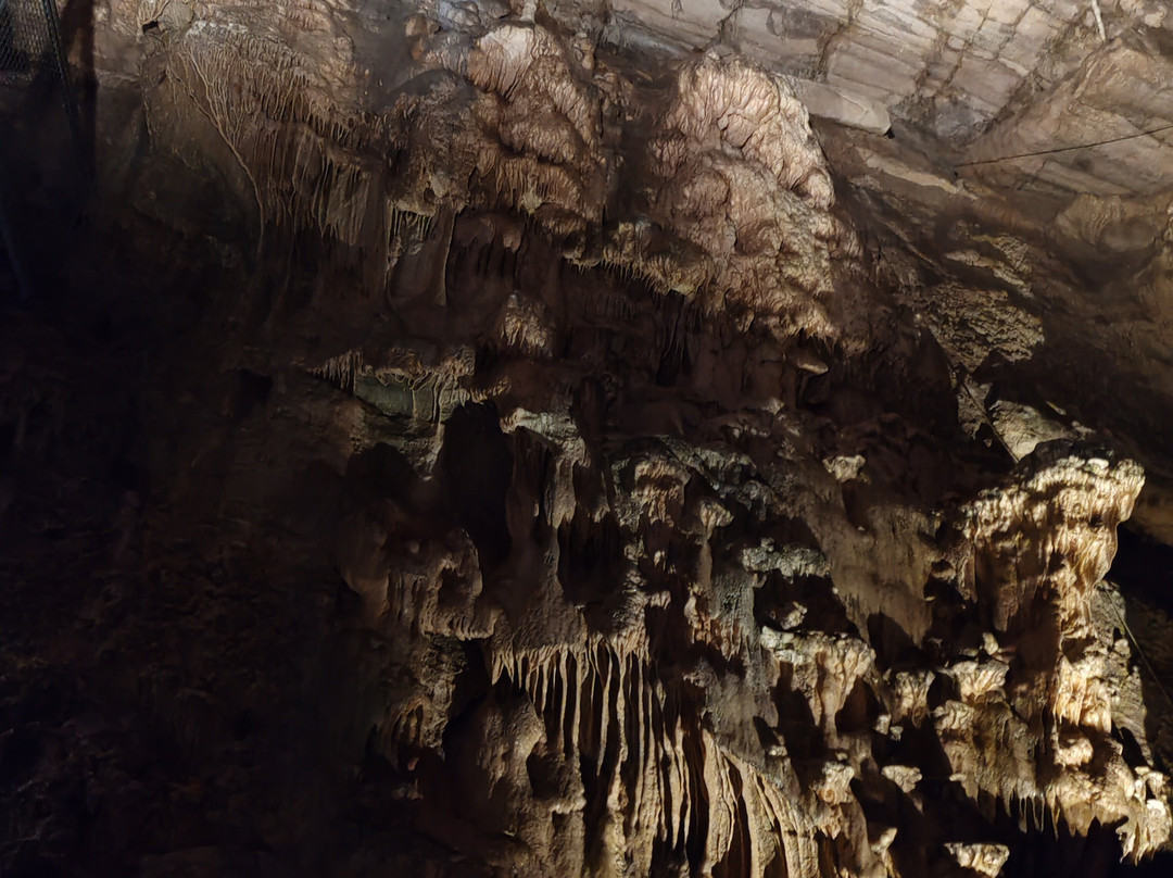 Grottes de Hotton-Hotton必去景点